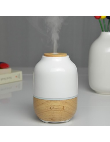 Diffuseur Ultrasonique Purisia 