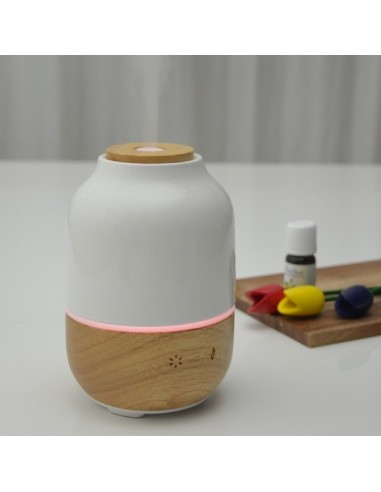Diffuseur Ultrasonique Purisia 