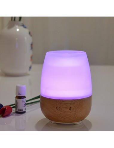 Diffuseur Ultrasonique Jolisia 
