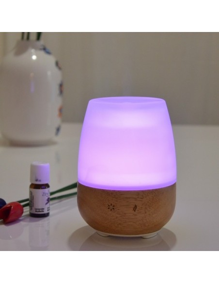 Diffuseur Ultrasonique Jolisia 