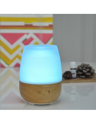Diffuseur Ultrasonique Jolisia 