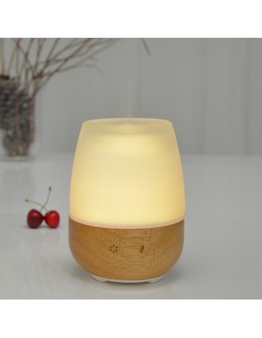 Diffuseur Ultrasonique Jolisia 