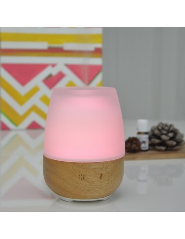 Diffuseur Ultrasonique Jolisia 