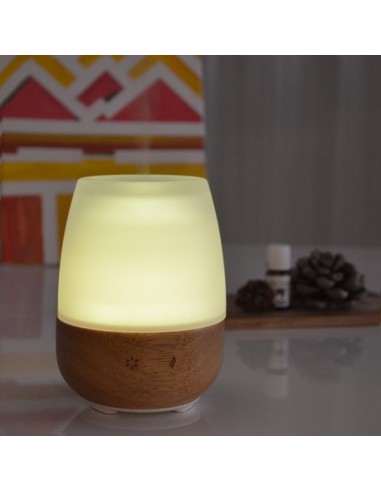 Diffuseur Ultrasonique Jolisia 