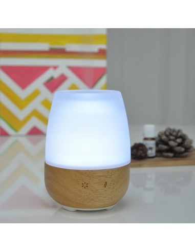 Diffuseur Ultrasonique Jolisia 