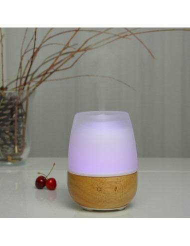 Diffuseur Ultrasonique Jolisia 