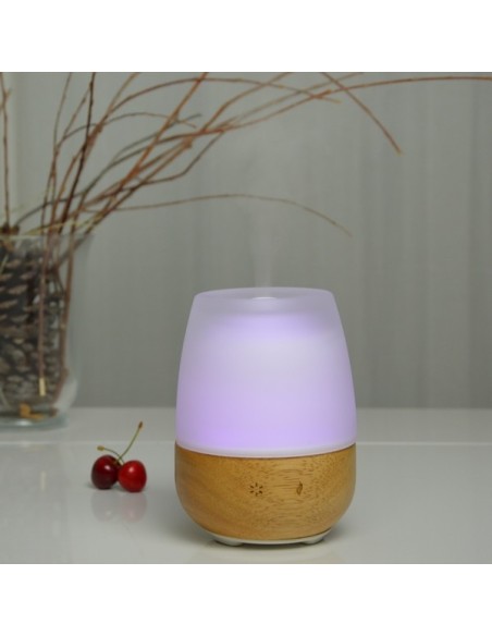 Diffuseur Ultrasonique Jolisia 
