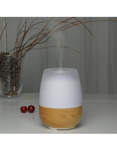 Diffuseur Ultrasonique Jolisia 