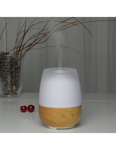 Diffuseur Ultrasonique Jolisia 