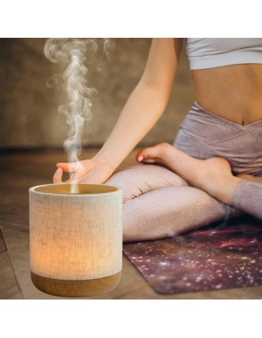 Diffuseur Ultrasonique Alesia 