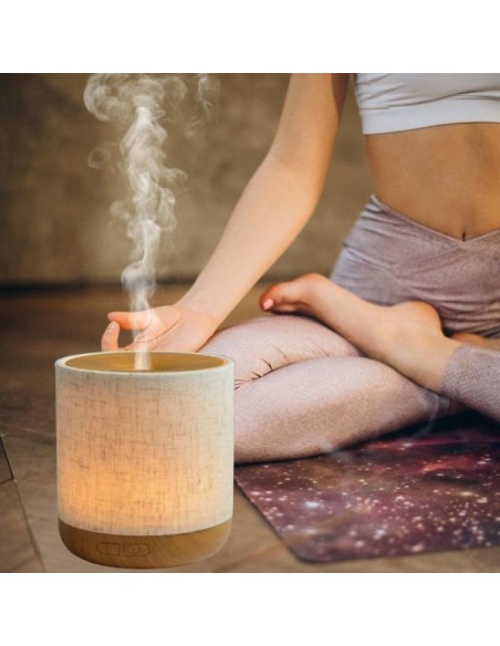Diffuseur Ultrasonique Alesia 