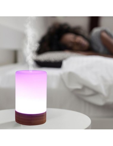 Diffuseur Ultrasonique Felisia 