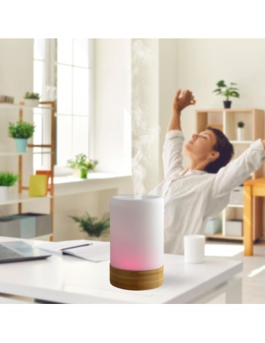 Diffuseur Ultrasonique Felisia 