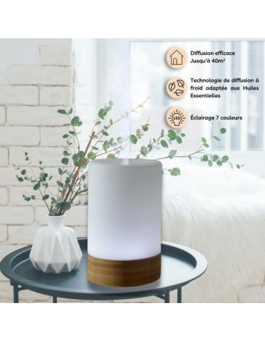 Diffuseur Ultrasonique Felisia 