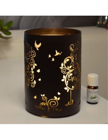 Diffuseur Ultrasonique Vita 