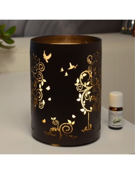 Diffuseur Ultrasonique Vita 