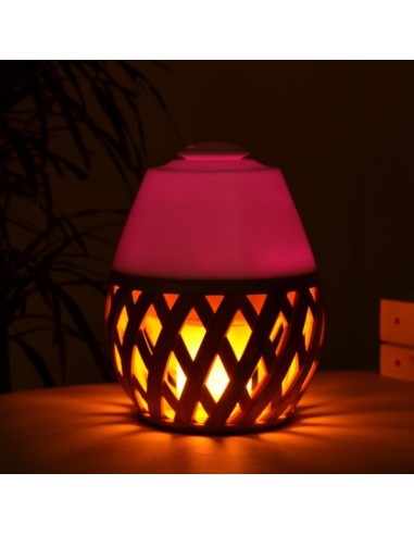 Diffuseur Ultrasonique Dolsia 