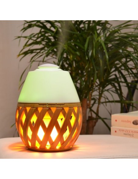 Diffuseur Ultrasonique Dolsia 