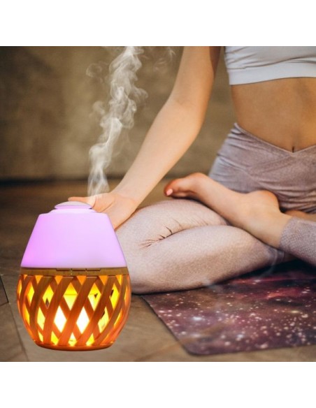 Diffuseur Ultrasonique Dolsia 