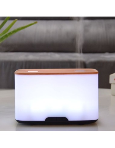 Diffuseur Ultrasonique Duo 