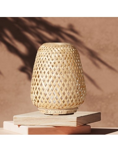 Diffuseur Ultrasonique Olaki 